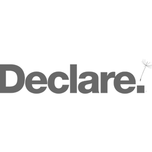 Declare Logo