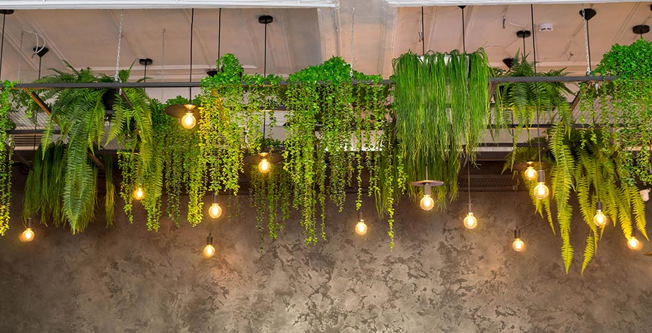 lights suspended from a ceiling with hanging vines