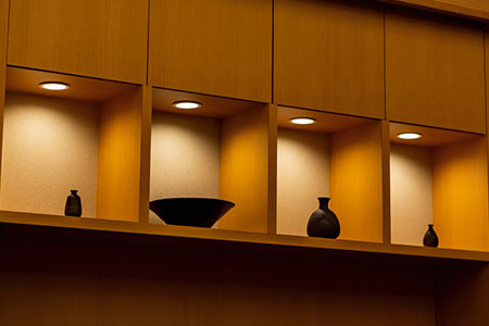 Modern interior shelving lights